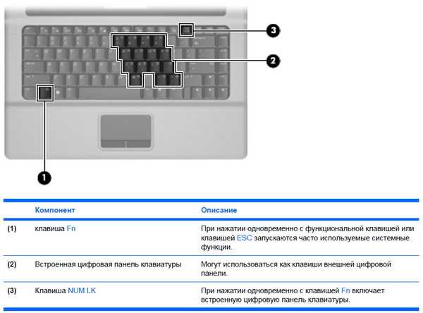 Как отключить цифровую клавиатуру. Что такое кнопки на клавиатуре f1, f2. Сочетание клавиш на ноутбуке FN. Сочетания клавиш с FN на клавиатуре. Комбинация клавиш для включения клавиатуры на ноутбуке.