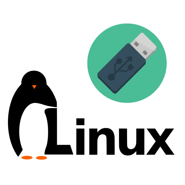 как установить linux на флешку