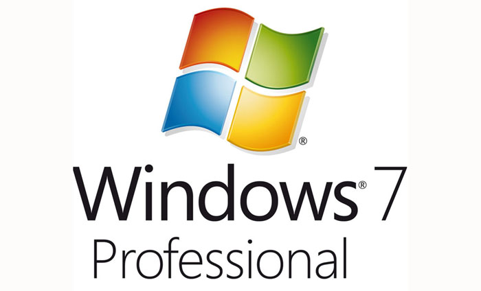 Windows Professional
