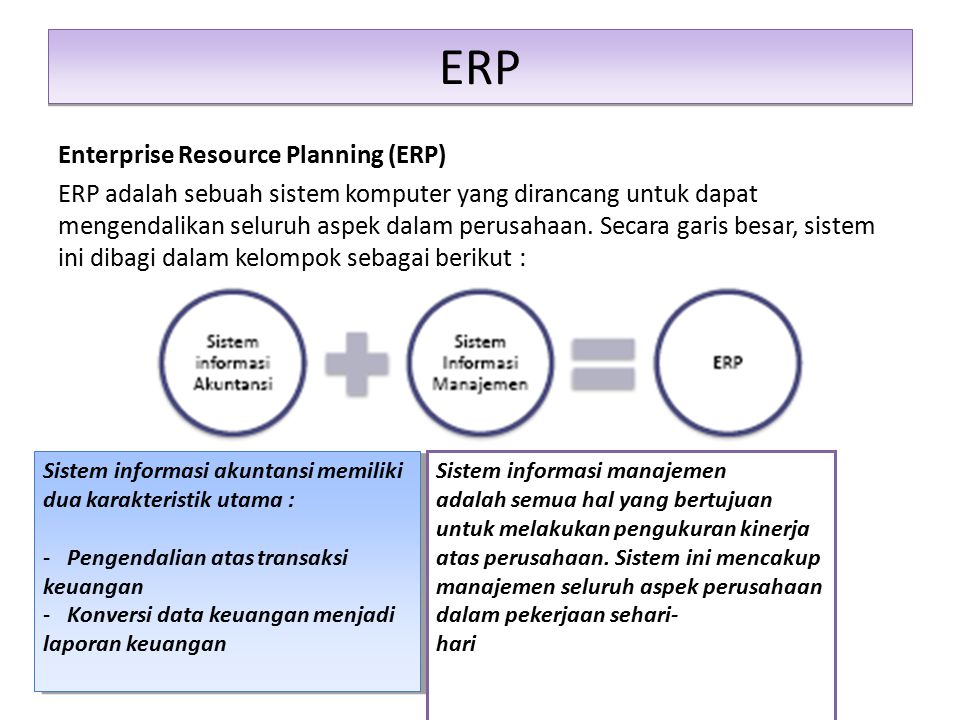 ERP article no. 1049904. Shlerp это.