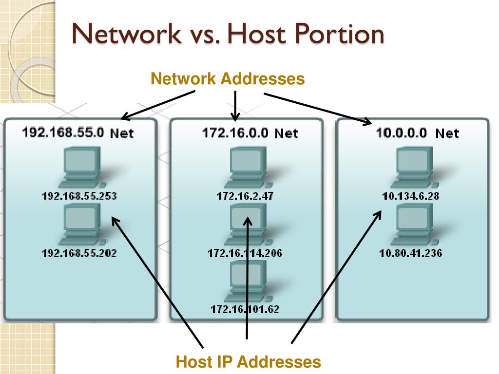 Host objects. Хост IP. Хост в IP адресе это. Хост в сети это. Хост это в информатике.