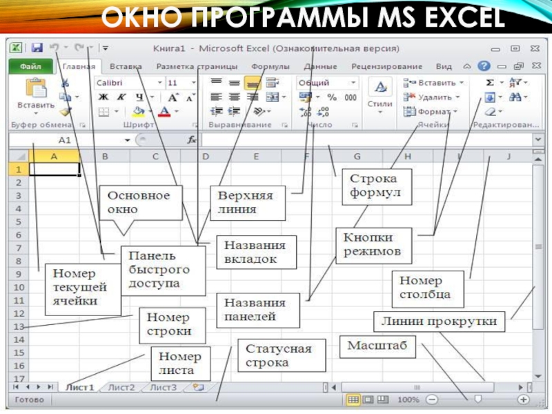 Программа ворд и эксель. Программа MS excel позволяет. Электронные таблицы excel офис. Окно программы excel. Компьютерная программа excel.