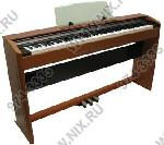 Цифровое фортепиано Casio Privia  PX-800  (88 кл., USB, SD слот, три педали SP-30,  деревянная стойк